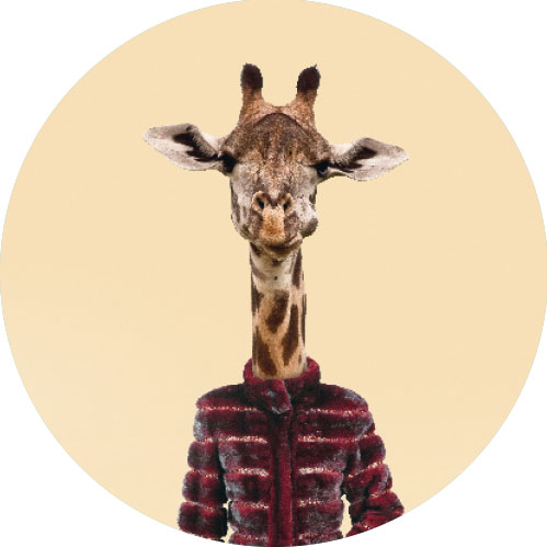 What we do — Tickled Pink